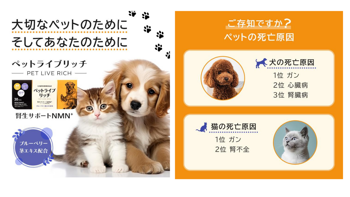 ペット用サプリメント 犬猫用栄養補助食品 ペットライブリッチ 1箱 成和製薬 サプリ 免疫 加齢